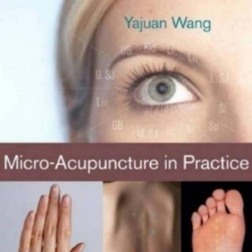 MICRO-ACUPUNCTURE IN PRACTICE - Yajuan Wang OMD LAc (Author)