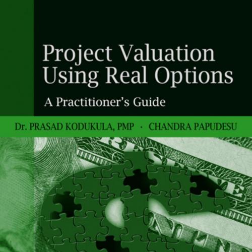 Project Valuation Using Real Options A Practitioner's Guide