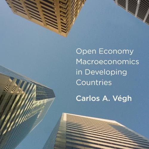 Open Economy Macroeconomics in Developing Countries