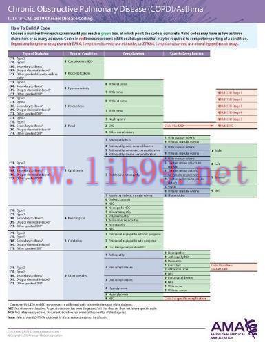 [AME]ERC-ICD-10 Chronic Disease 2019 - Copd/Asthma/pneumonia (EPUB)