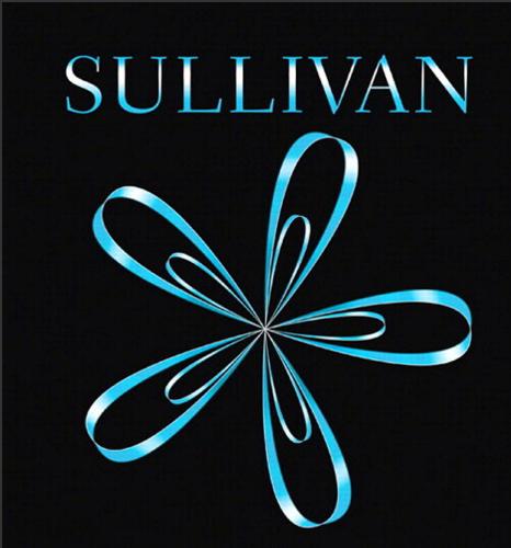 (Solution Manual)Algebra and Trigonometry 10th Edition by Michael Sullivan.zip