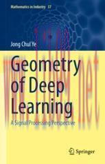 [PDF]Geometry of Deep Learning: A Signal Processing Perspective