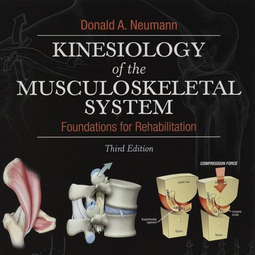 [AME]Kinesiology of the Musculoskeletal System: Foundations for Rehabilitation, 3rd edition (Or...