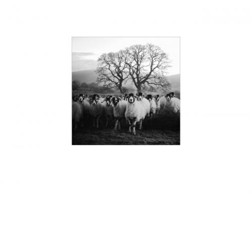 Shepherd's Life, The - James Rebanks