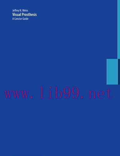 [AME]Visual Prosthesis: A Concise Guide (Original PDF)