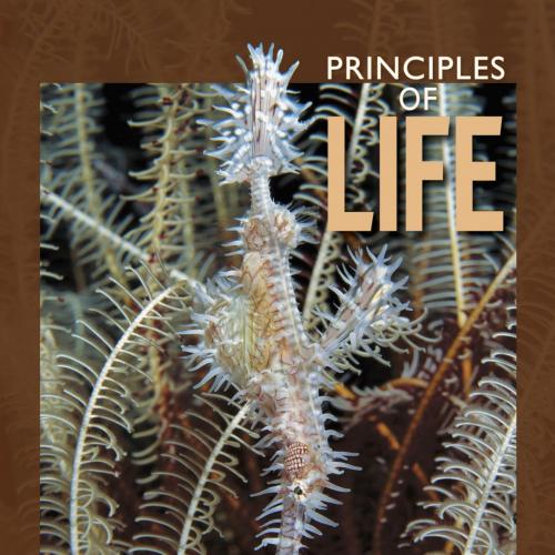 Principles of Life by David M. Hillis