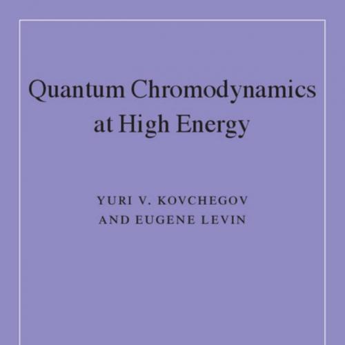 Quantum Chromodynamics at High Energy