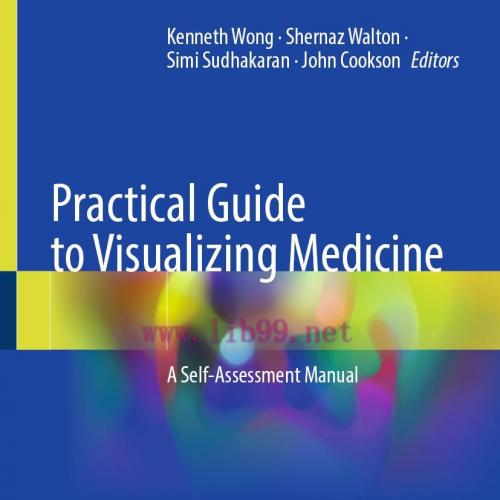 [AME]Practical Guide to Visualizing Medicine (EPUB)