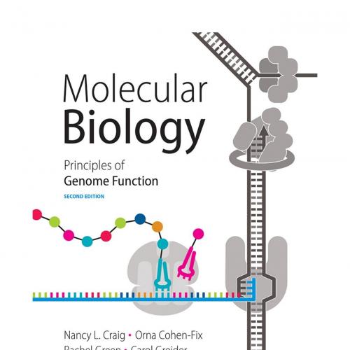 Molecular Biology_ Principles of Genome Function