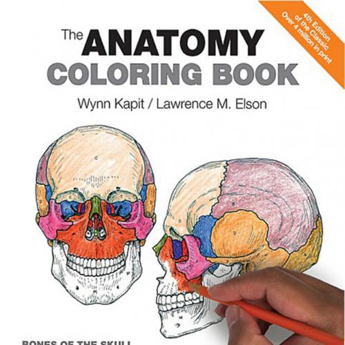 Anatomy Coloring Book 4th Edition Wynn Kapit