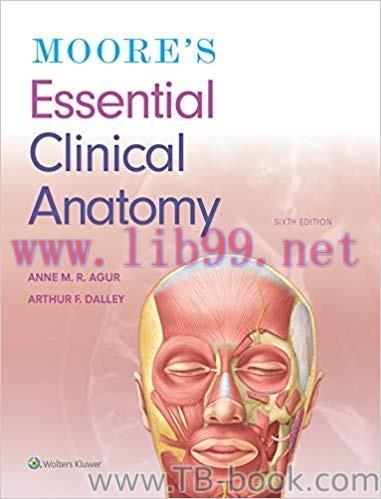 Moore&rsquo;s Essential Clinical Anatomy Sixth Edition by Anne M. R. Agur BSc (OT) MSc PhD