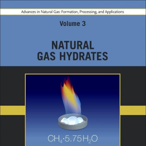 Advances in Natural Gas Formation, Processing, and Applications. Volume 3 Natural Gas Hydrates ...