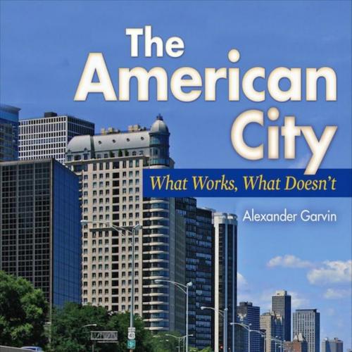 American City_ What Works, What Doesn't, The
