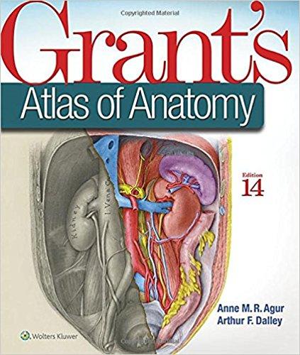 Grant&rsquo;s Atlas of Anatomy, 14th Edition