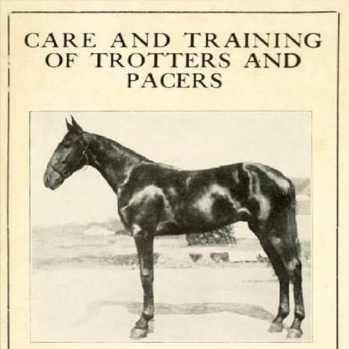 Care and training of trotters and pacers