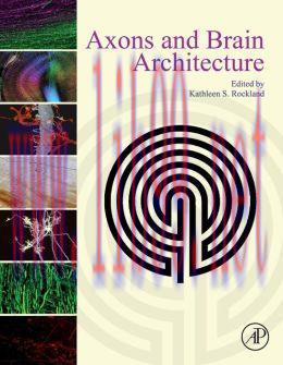 [AME]Axons and Brain Architecture