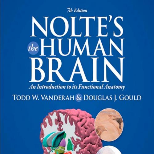Nolte's The Human Brain An Introduction to its Functional Anatomy 7th Edition Todd Vanderah PhD