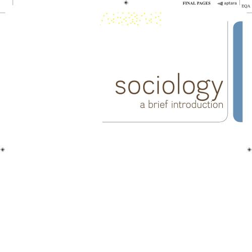Sociology A Brief Introduction 13th Richard T. Schaefer