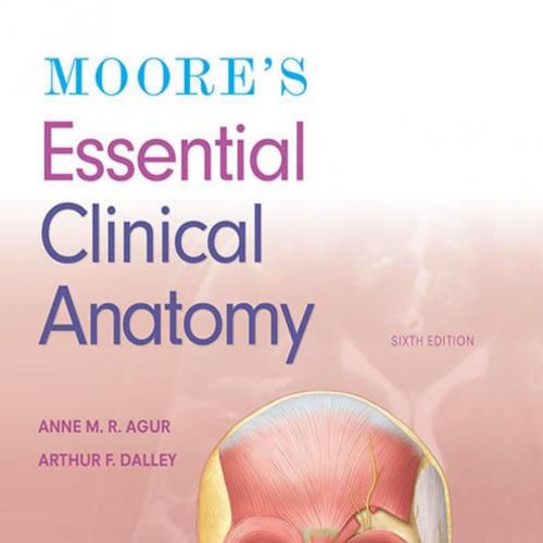 Moore's Essential Clinical Anatomy