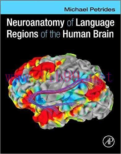 [PDF]Neuroanatomy of Language Regions of the Human Brain