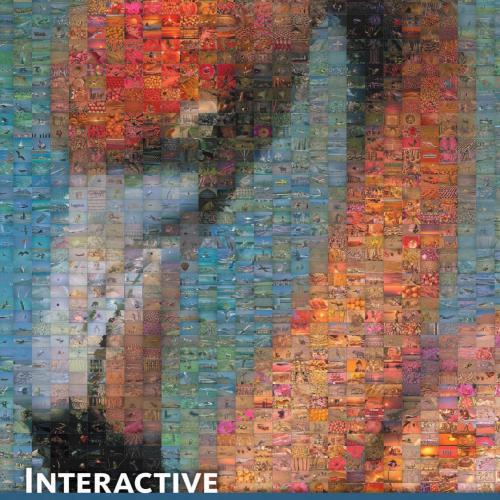 Interactive Data Visualization Foundations, Techniques, and Applications