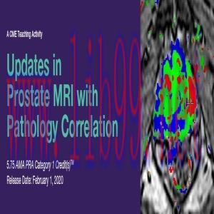 [AME]2020 Updates in Prostate MRI with Pathology Correlation (CME VIDEOS)