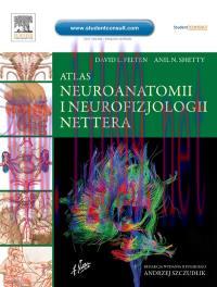 [AME]Netter&rsquo;s Atlas of Neuroscience: with STUDENT CONSULT Online Access, 2nd (Original PDF)