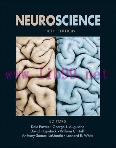 [AME]Neuroscience, Fifth Edition (ORIGINAL PDF from_ Publisher)