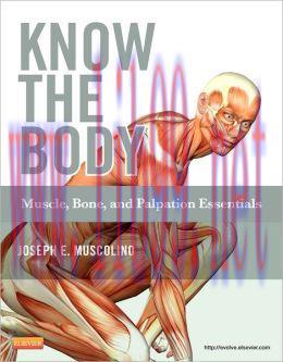 [AME]Know the Body: Muscle, Bone, and Palpation Essentials