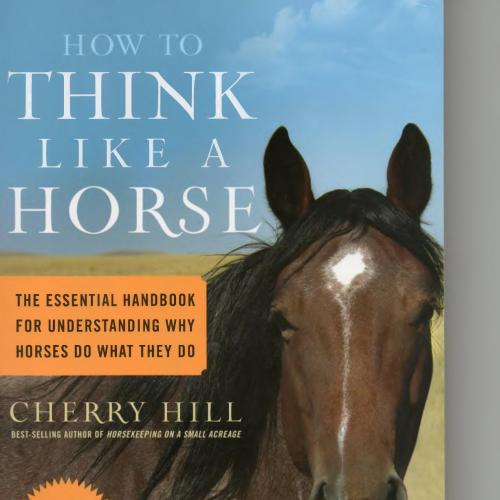 How to Think Like A Horse_ The Essential Handbook for Understanding Why Horses Do What They Do