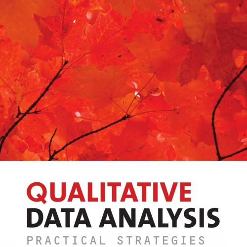Qualitative Data Analysis Practical Strategies