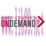 [AME]AAOS Courses OnDemand: AAOS/AAHKS/The Hip Society Meeting the Challenges of Total Hip Arth...