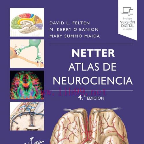 [AME]Netter. Atlas de neurociencia, 4 Edici&oacute;n (Original PDF)