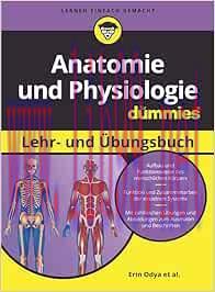 [AME]Anatomie und Physiologie Lehr- und &Uuml;bungsbuch f&uuml;r Dummies (ePub)