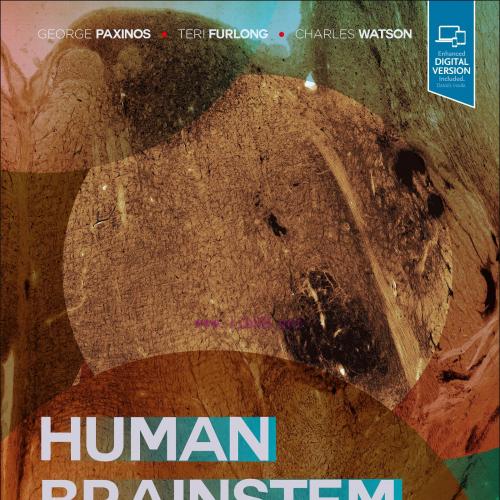[AME]Human Brainstem: Cytoarchitecture, Chemoarchitecture, Myeloarchitecture (Original PDF)