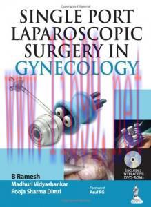 [AME]Single-Port Laparoscopic Surgery in Gynecology
