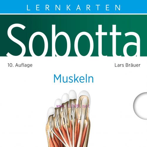 [AME]Sobotta Lernkarten Muskeln, 10th Edition (Original PDF)