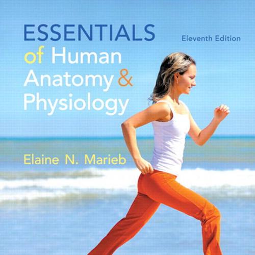 Essentials of Human Anatomy Physiology,11th Edition by Marieb, Elaine N..pdf-Wei Zhi