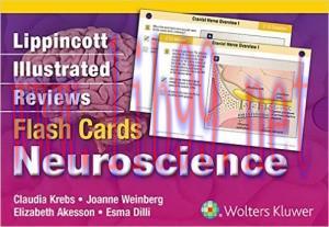 [AME]Lippincott Illustrated Reviews Flash Cards: Neuroscience