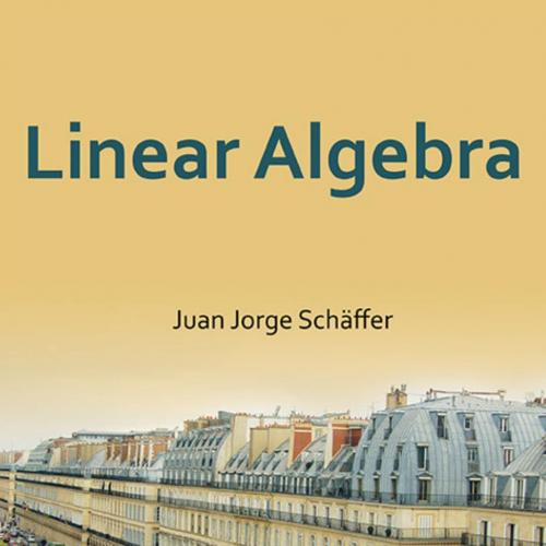Linear Algebra - Juan Jorge Schaffer