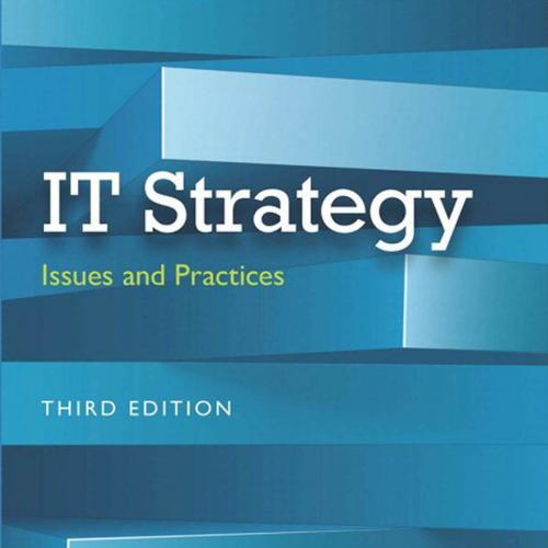 IT Strategy Issues and Practices 3rd Edition James D.McKeen