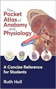 [AME]The Pocket Atlas of Anatomy and Physiology (EPUB)