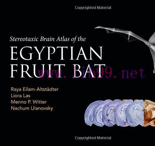 [AME]Stereotaxic Brain Atlas of the Egyptian Fruit Bat (Original PDF)