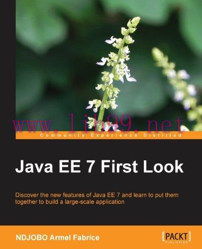 [FOX-Ebook]Java EE 7 First Look
