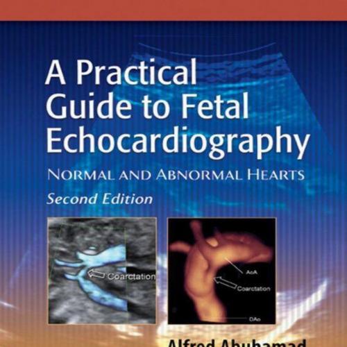 Practical Guide to Fetal Echocardiography-Normal and Abnormal Hearts, 2nd Edition, A - Abuhamad...
