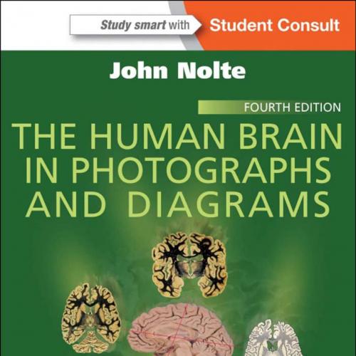 Human Brain in Photographs and Diagrams, 4th Edition, The - Wei Zhi