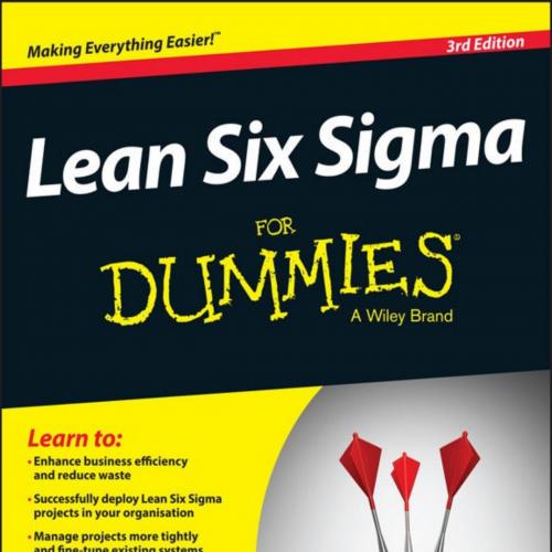 Lean Six Sigma For Dummies 3rd edition - John Morgan & Martin Brenig-Jones