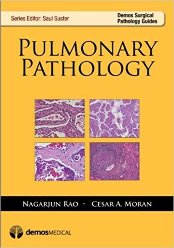 Pulmonary Pathology (Demos Surgical Pathology Guides) 1st Edition