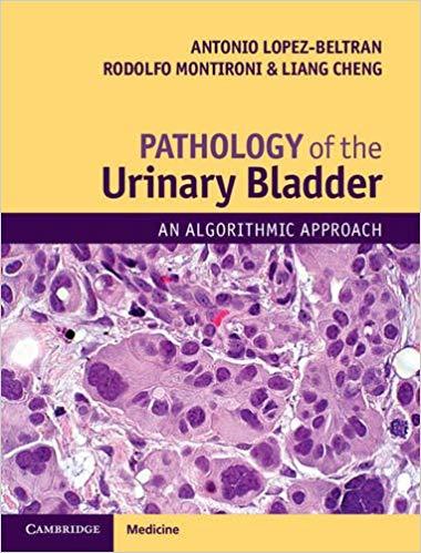 Pathology of the Urinary Bladder - An Algorithmic Approach