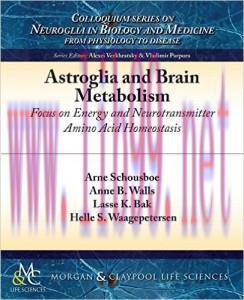 [AME]Astroglia and Brain Metabolism: Focus on Energy and Neurotransmitter Amino Acid Homeostasi...